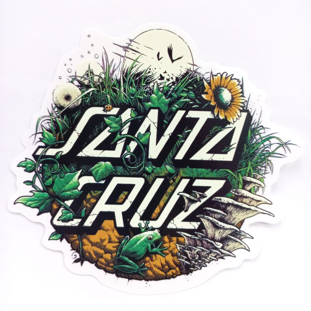 Peach and Bones Skateshop CDMX Skateshop México